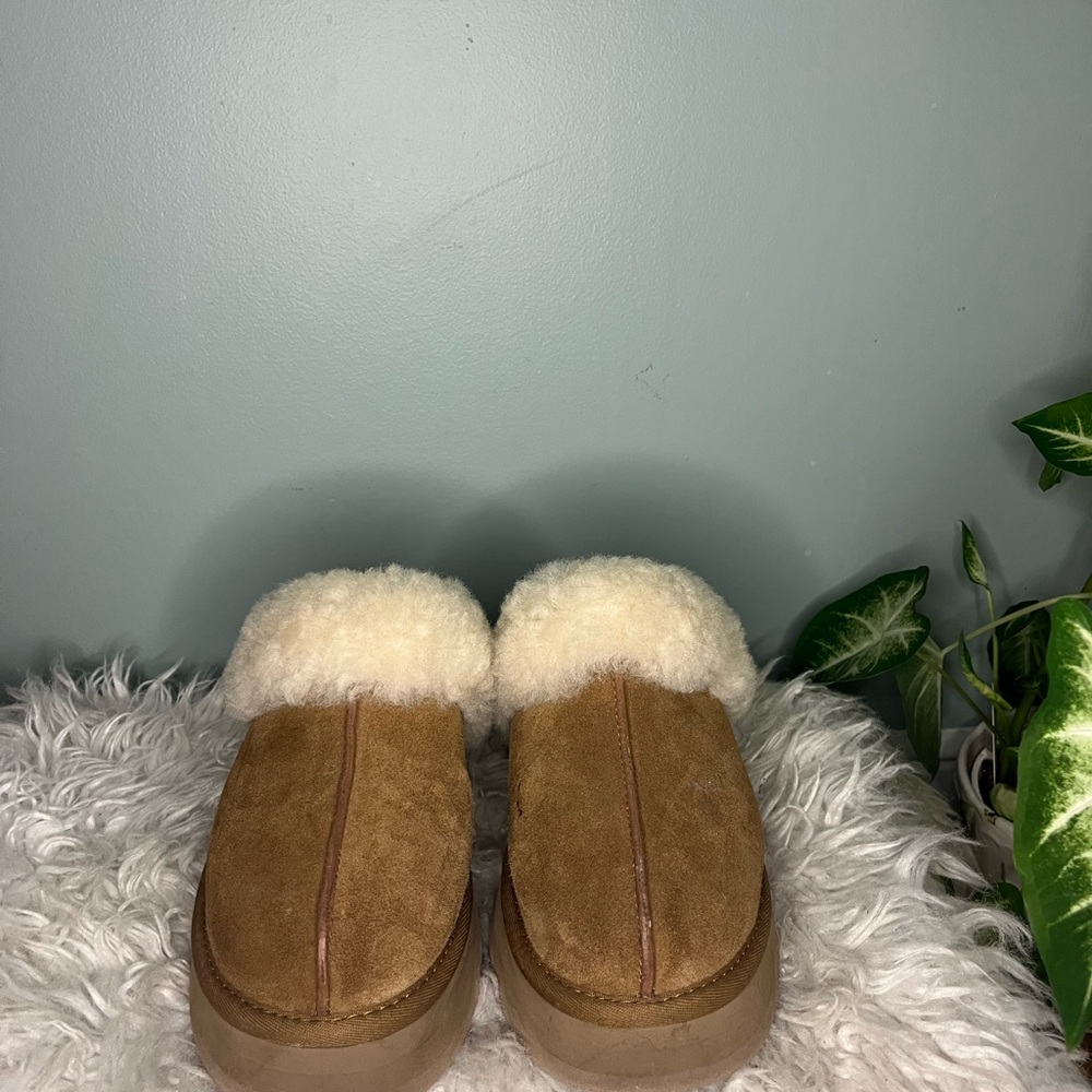Chestnut Disquette Ugg Slippers (9)